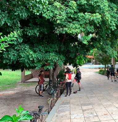 Bosque