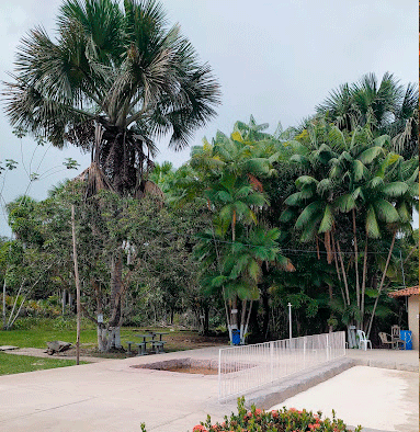 Área verde